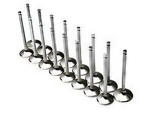 Brian Crower Stainless Valves B18B B18A LS