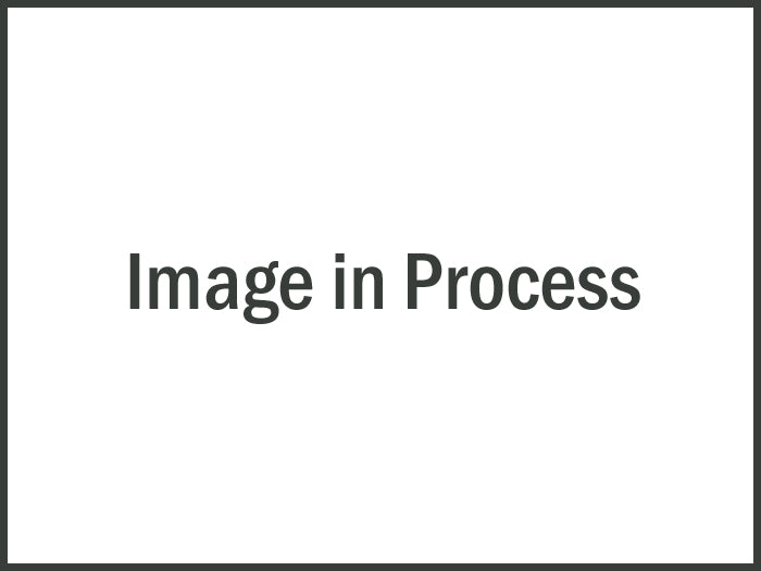 Wilwood Caliper Brackets 250-6290